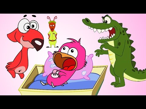 Ta-ta-ta-taaam | Bebek Kuşlar Ve Çılgın Timsah | Çocuk Çizgi Filmleri | Chotoonz TV Türkçe ÇizgiFilm