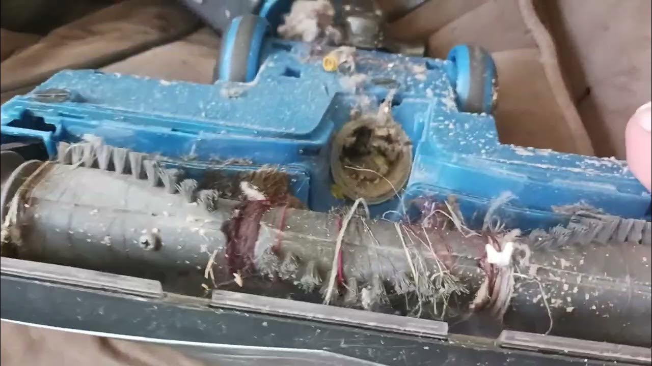 (New Toy) Shark Rocket YouTube