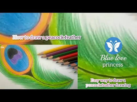 How to draw a peacock feather || easy way of peacock feather drawing