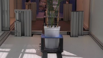 LemnaTec Automatic High Throughput Plant Phenotyping