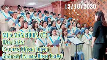 Mùa Mân Côi Đã Về - Dấu Chân