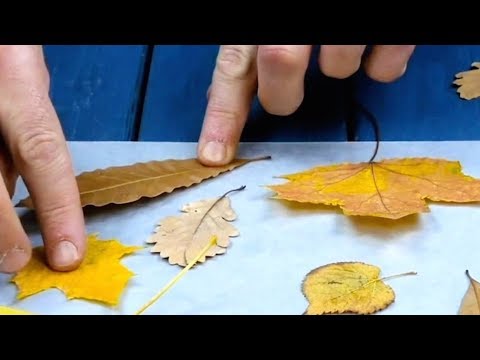 Video: Herbstbasteln Für Zuhause
