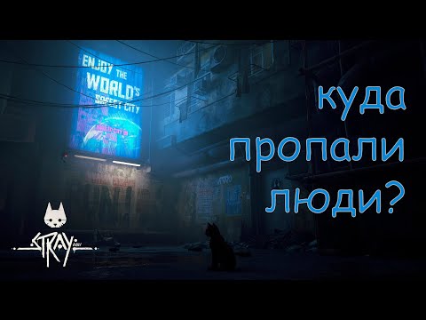 Видео: Теория большого распада | Stray