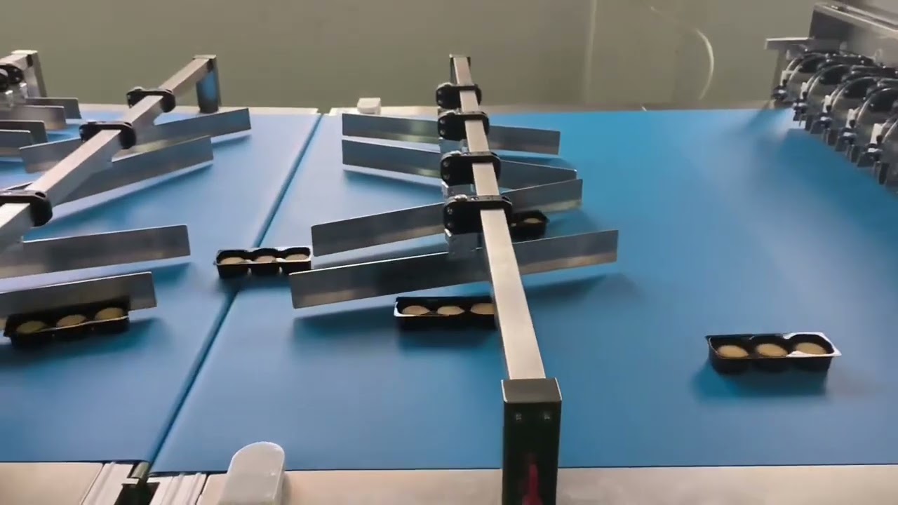 Cookie Packaging Unveiled: Automatic Tray - filling, Dropping & Packaging 6pcs biscuits in one tray