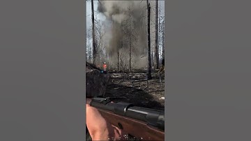 Hell Let Loose Shorts - I still don