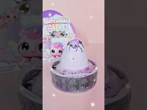 Hatchimals Alive Purple Playset Water Surprise Egg Toy by Spin Master💜✨#hatchimalsalive #toys #asmr