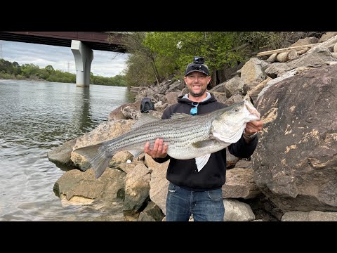 Tennessee dam Fishing!!