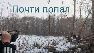 Зимний лес и охота с мр 512 на дроздов