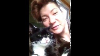 Кошка Маруська Кошка Маруська