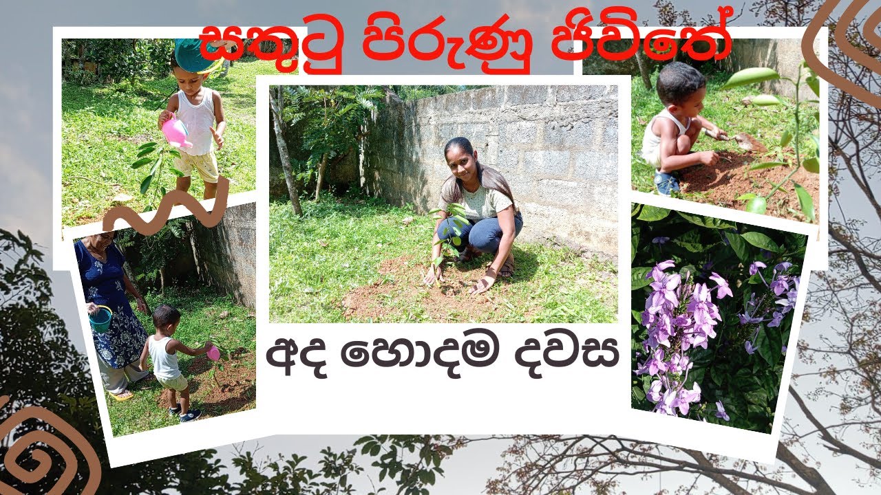 හිතේ සැනසීමෙන් ගෙවුණු දවසක් | Happy Life Tips ❤️