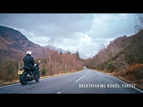Breathtaking Roads Forest - Live Fast Die Old