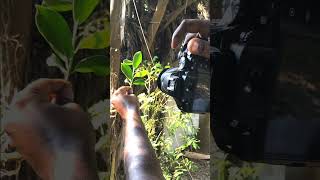 Simple photography ideas #nature photography #creative photography #yt shorts /how to