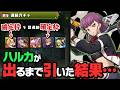 ハルカが出るまでコードギアスガチャ引いたら何故かコンプした【パズドラ】