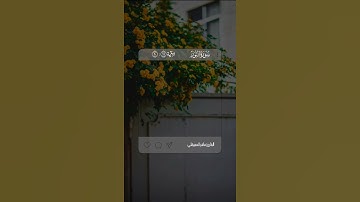 القارئ#ماهر_المعيقلي #سورة_النور الآية ٢٠:١٩ #القرآن_الكريم