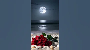 Most Beautiful Roses In The World Beach Moon Night Nature Beauty Shorts Subscribe Viral 