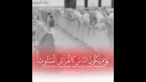 قران كريم للشيخ ياسر الدوسري❤❤