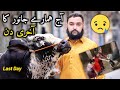 Last day with qurbani ka janwar   with bacha party   usama butt vlogs