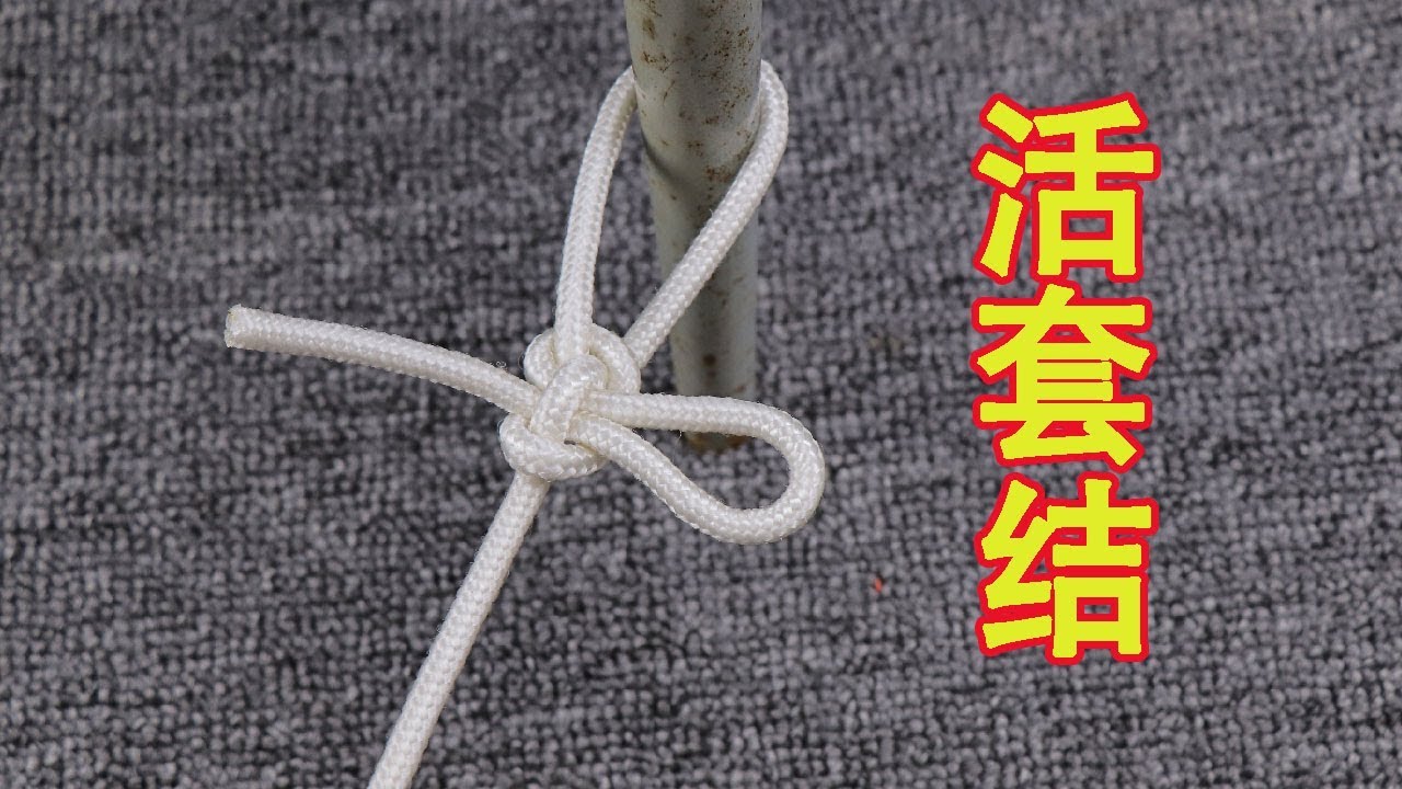绳结达人分享一种神奇的活套结,绑东西易结易解,打法一学就会 - YouTube