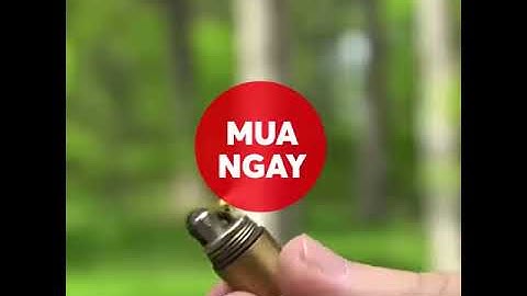 Bật lửa dolphin lighter