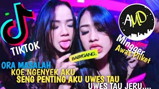 DJ ORA MASALAH KOE NGENYEK AKU SENG PENTING AKU WES TAU UWES TAU JERU VIRAL AWAS MINGGIR PLIKET