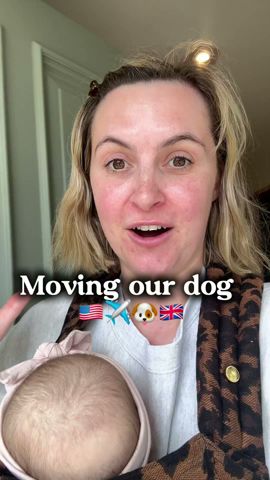 Moving our dog from the USA to the uk. She is acting like nothing happened now