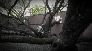 El Señor De Los Cielos Primer Capitulo Temporada 5Aurelio Le Salva La Vida A Emilia