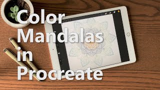 How to color a Mandala in Procreate