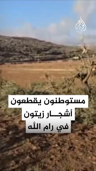         
 - نشر قبل 11 دقيقة
