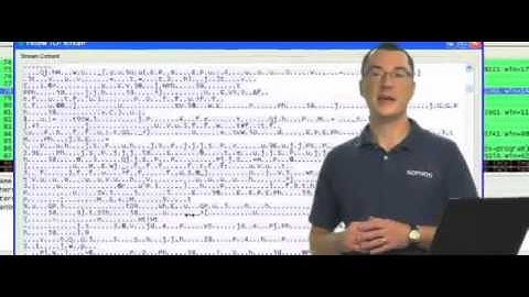 Adobe reader vulnerability demo Anatomy of an Attack online