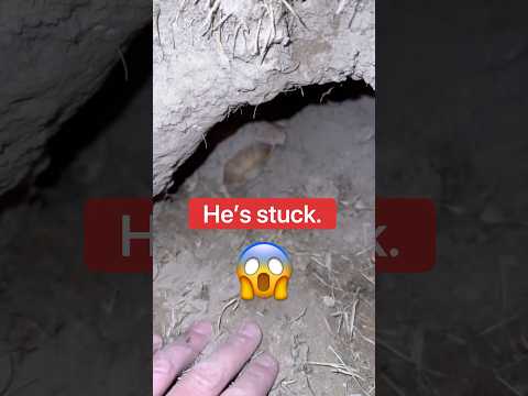 Help! My Baby