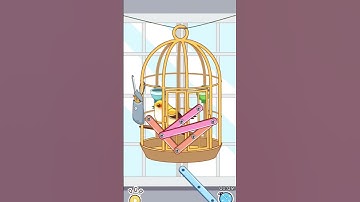 Satisroom: Perfectly Organize level 22