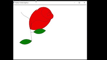 First Save Then create Graphics using Python Turtle #python #shorts #developer #pythonturtle