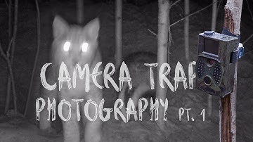 THE BEGINNING OF A BIG PROJECT | Camera trap photography - part 1 (With English subtitles)