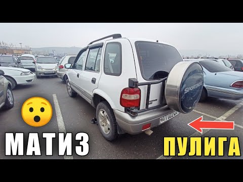 Video: Сонома штатында канча адистик бар?