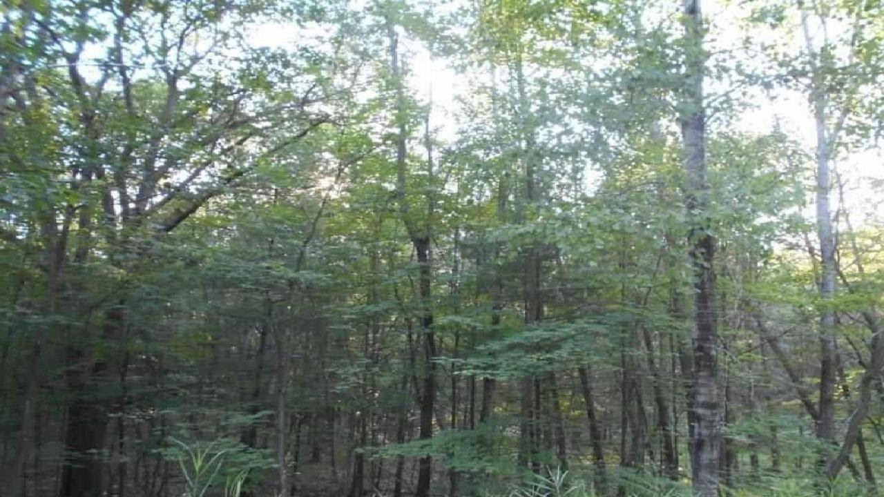 00 Hills Circle Lot 5 Rose Lake Forest Hills, Leroy, MI Presented by