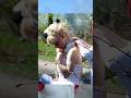 Відзначаємо 14 ту річницю в Карпатах Irysik3076 