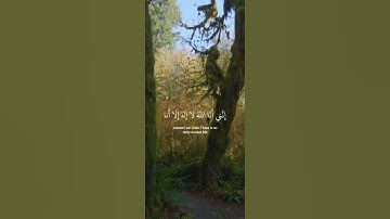 سورة طه - الآية 13-14 #قرآن