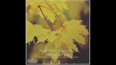 ١٤ يونيو، ٢٠٢٠ القارئ ناصر