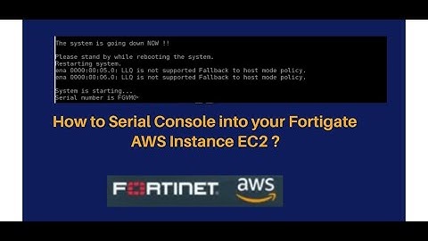 How to Serial Console into Fortigate AWS Instance EC2 [2021]
