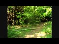 The Beast 9mg Horror Movie Scariest Ever