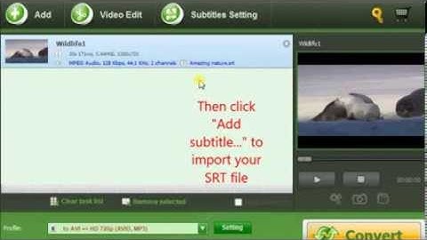 Two methods to add SRT subtitle to AVI