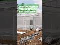 Update hydroponic greenhouse for pesantren kapasitas 3000 lt. #hidroponik #gsmp #gnpip #greenhouse