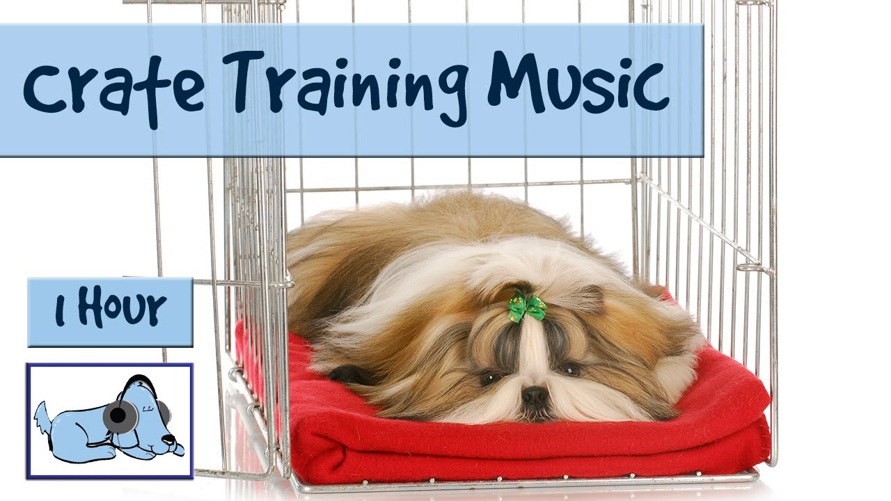 Crate Training Made Easy! Use Music to Keep your Dog Happy in it's ...