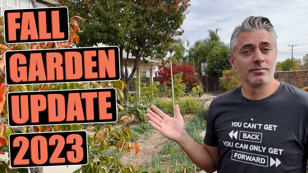 A Fall Garden Update Tour November 2023 - YouTube