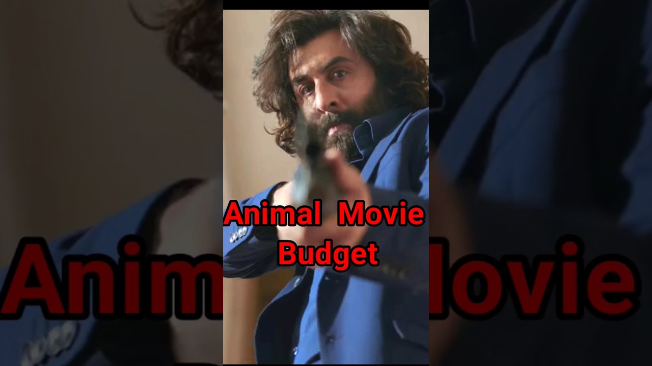 Animal Movie Box Office Collection & Budget 