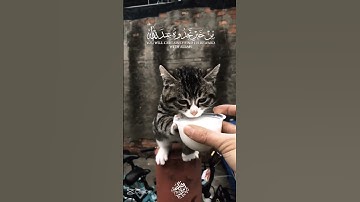 اجمل مقاطع القرآن الكريم 🫀❤️#راحة_نفسية #طمئن_قلبك #ستوريات#انستا #قرآن{أن الله بما تعملون بصير }