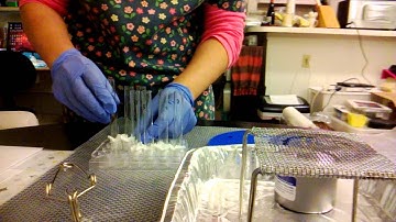 video1 synthesis of fragrant esters portillo md