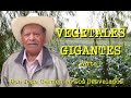 LOS DESVELADOS - DON JOSE CARMEN: VEGETALES GIGANTES - PARTE I