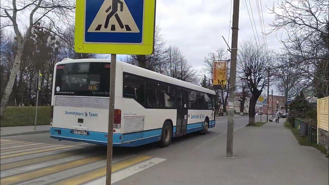 Зеленоградск транс. 117 Автобус Калининград Мамоново. Дорога в Зеленоградск. ООО Зеленоградск транс. 75 Маршрутка Калининград.