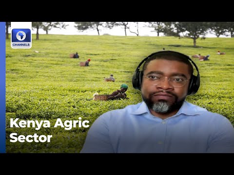 Analyzing Kenya's Agriculture Sector Amidst Currency Recovery